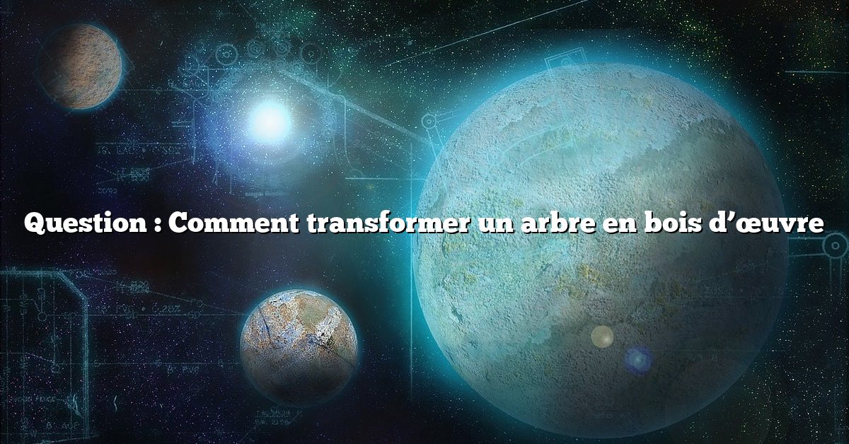 Question : Comment transformer un arbre en bois d’œuvre